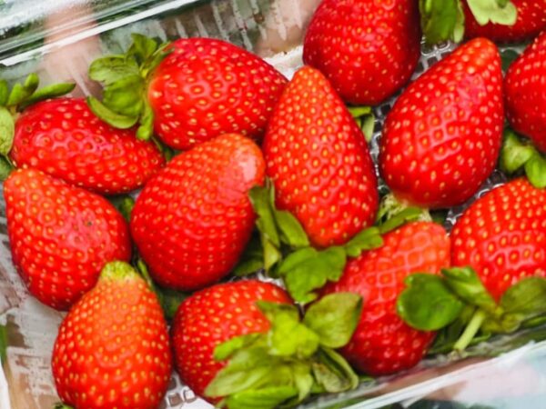 Strawberry Cake